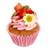 Strawberry Fields Cupcake - Peggy Porschen Belgravia Ltd